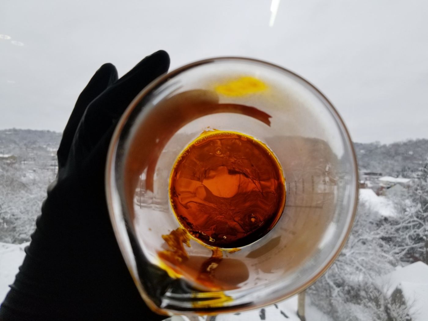 Gloved hand holding a beaker of dark amber extract against a snowy hillside