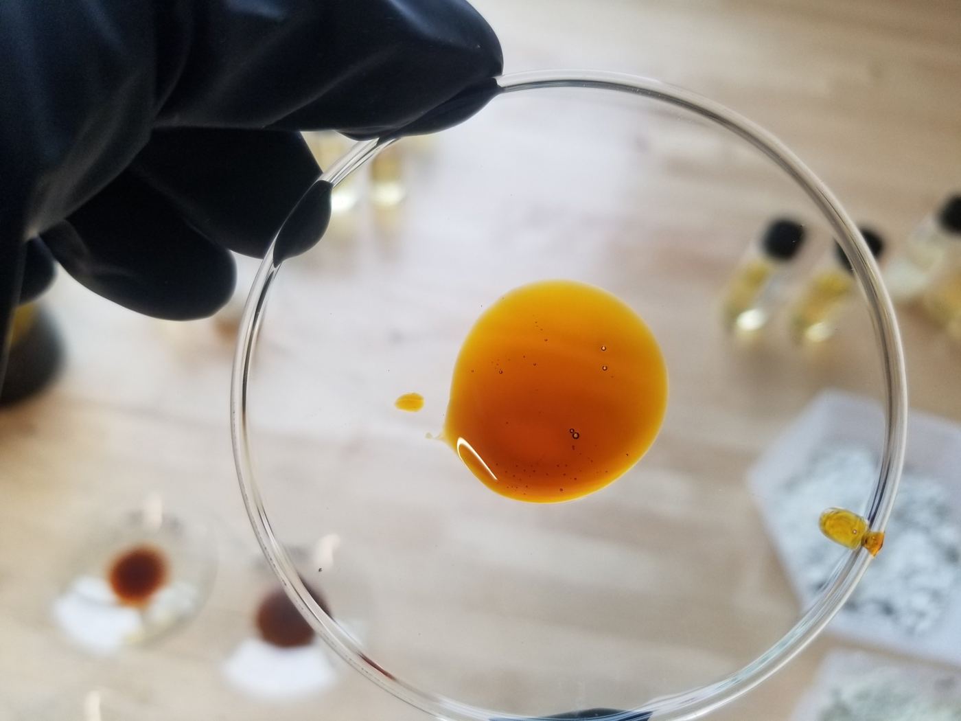 Clear amber oil drop on a watch glass above sample vials